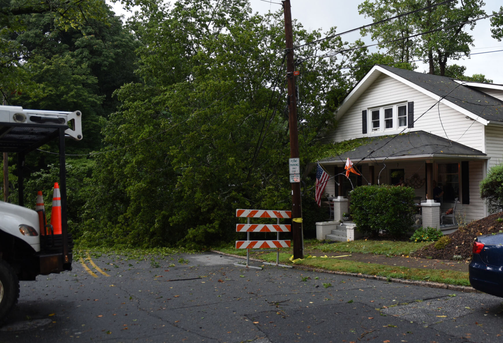 Tree falls on Queen Street house